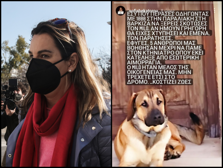 Οδηγός παρέσυρε και σκότωσε τον σκύλο της Σοφίας Μπεκατώρου: Το οργισμένο μήνυμά της στο Instagram (εικόνα)
