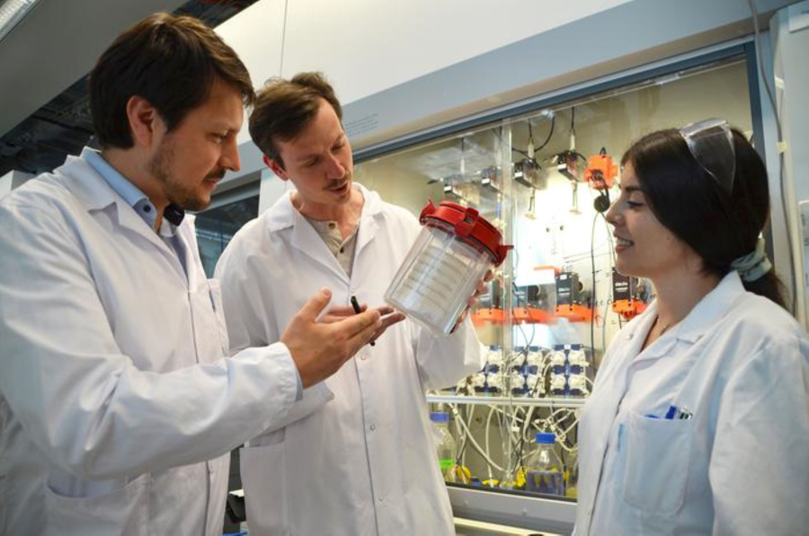 credits: Rami Mahmoud, TU Wien