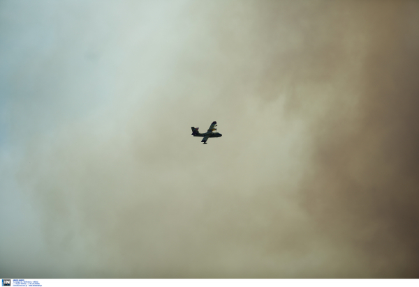 ΓΓΠΠ: Πολύ υψηλός κίνδυνος πυρκαγιάς την Πέμπτη, για τρείς περιφέρειες της χώρας (εικόνα)