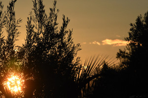 photo: Eurokinissi