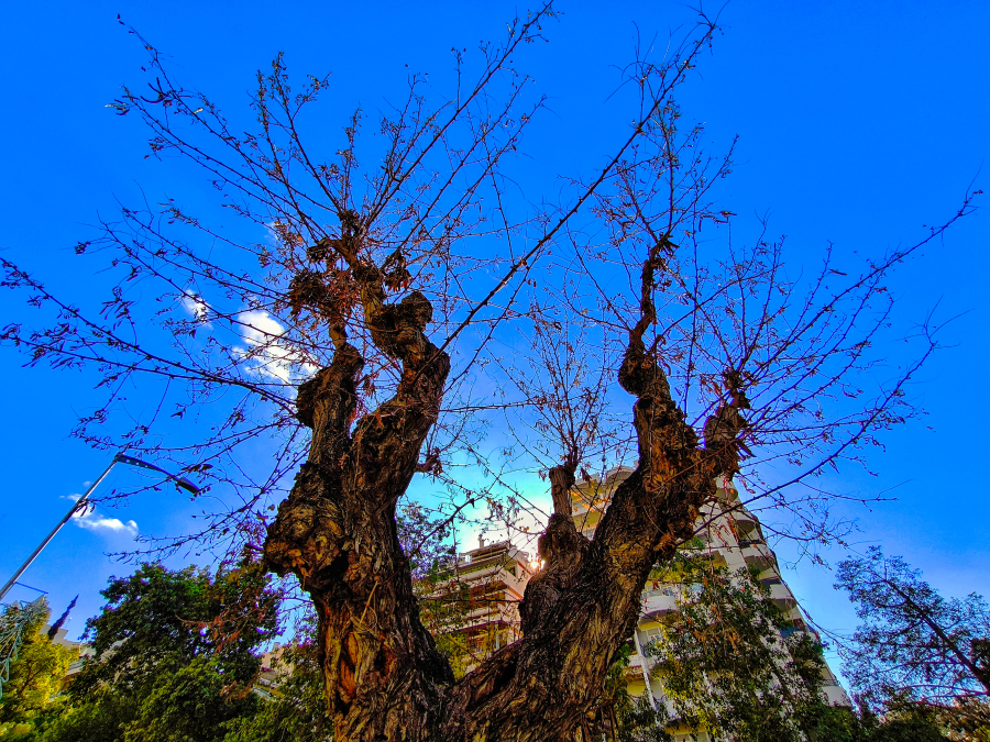 Καιρός: Αλλαγή σε χειμώνα με κρύο και καταιγίδες