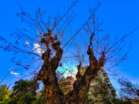 Καιρός: Αλλαγή σε χειμώνα με κρύο και καταιγίδες