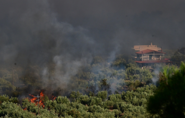 Εκτός ελέγχου η φωτιά τώρα στο Πόρτο Γερμενό - Επιχειρήσεις απεγκλωβισμού από παραλία - Όλες οι εξελίξεις με τις πυρκαγιές