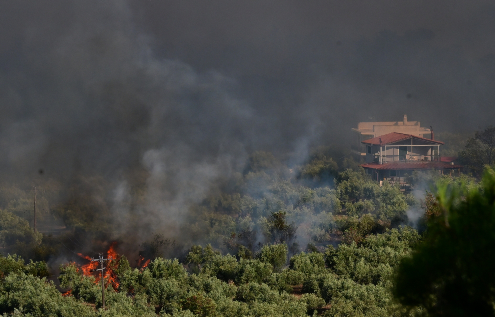 Εκτός ελέγχου η φωτιά τώρα στο Πόρτο Γερμενό - Επιχειρήσεις απεγκλωβισμού από παραλία - Όλες οι εξελίξεις με τις πυρκαγιές