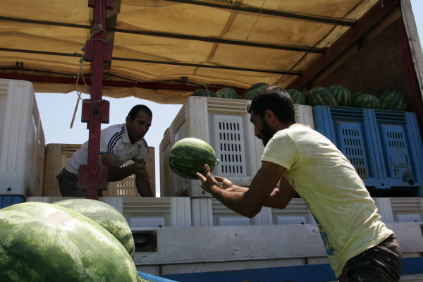 Με μέτρα ξεκινάει η μεταφορά εργατών για αγροτικές εργασίες από τρίτες χώρες
