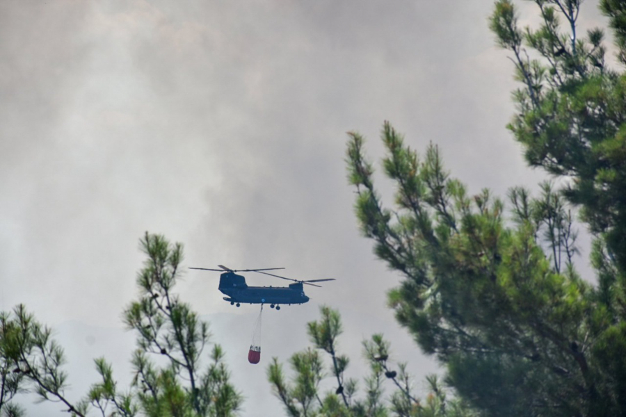 Σύσκεψη στο Μαξίμου για τα δάση, μαίνονται οι φωτιές σε Έβρο και Ροδόπη - Τα κυβερνητικά μέτρα για τους πυρόπληκτους