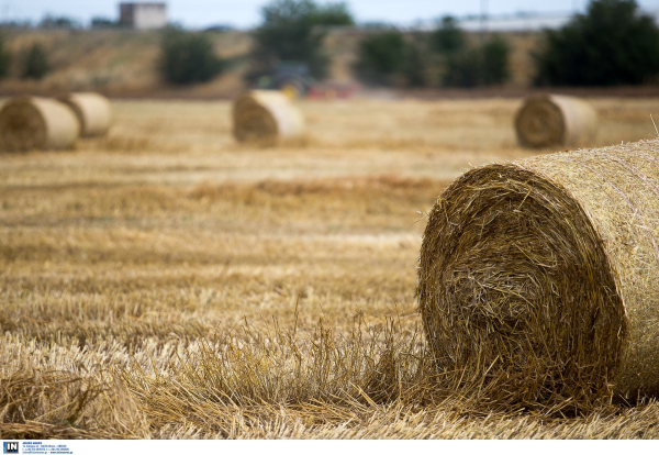 Περιφέρεια Θεσσαλίας: Αυξάνονται σε 1.524 οι Νέοι Γεωργοί - Ενίσχυση έως 40.000 ανά δικαιούχο