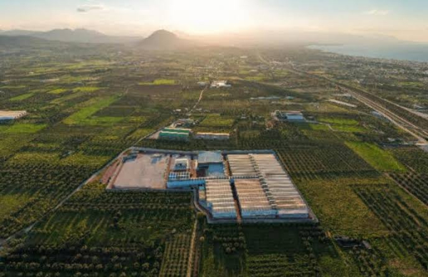 Tikun Olam Greece Swings to Profit as Sales Surge and Licensing Deal Is Scrapped