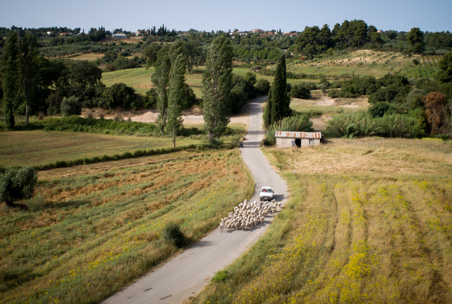 ΟΠΕΚΕΠΕ: Πώς δρούσε το κύκλωμα - Ενεργοί λογαριασμοί πεθαμένων, ανύπαρκτα ζώα και... ράβδοι χρυσού