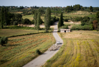 ΟΠΕΚΕΠΕ: Πώς δρούσε το κύκλωμα - Ενεργοί λογαριασμοί πεθαμένων, ανύπαρκτα ζώα και... ράβδοι χρυσού