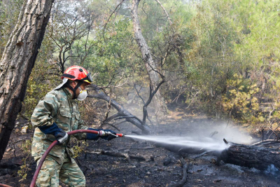 Φωτιά στο Δάσος της Δαδιάς: «Πολύ ιδιαίτερη και δύσκολη κατάσταση σε ένα ευαίσθητο δασικό οικοσύστημα», λέει ο Γκουντούφας