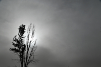 Ο καιρός σήμερα: Τοπικές βροχές και καταιγίδες, αφρικανική σκόνη και μικρή πτώση της θερμοκρασίας