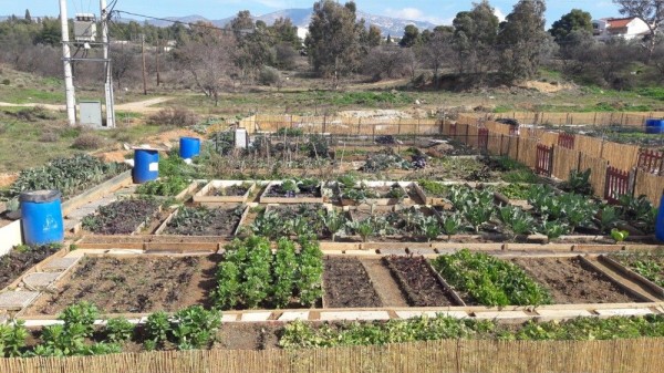 Παραδίδεται στους πολίτες ο Πρότυπος Δημοτικός Λαχανόκηπος στο Κτήμα Καρέλλα