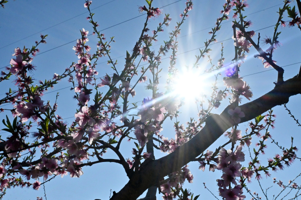Καιρός σήμερα: Ασθενείς βροχές και σταθερά υψηλές θερμοκρασίες