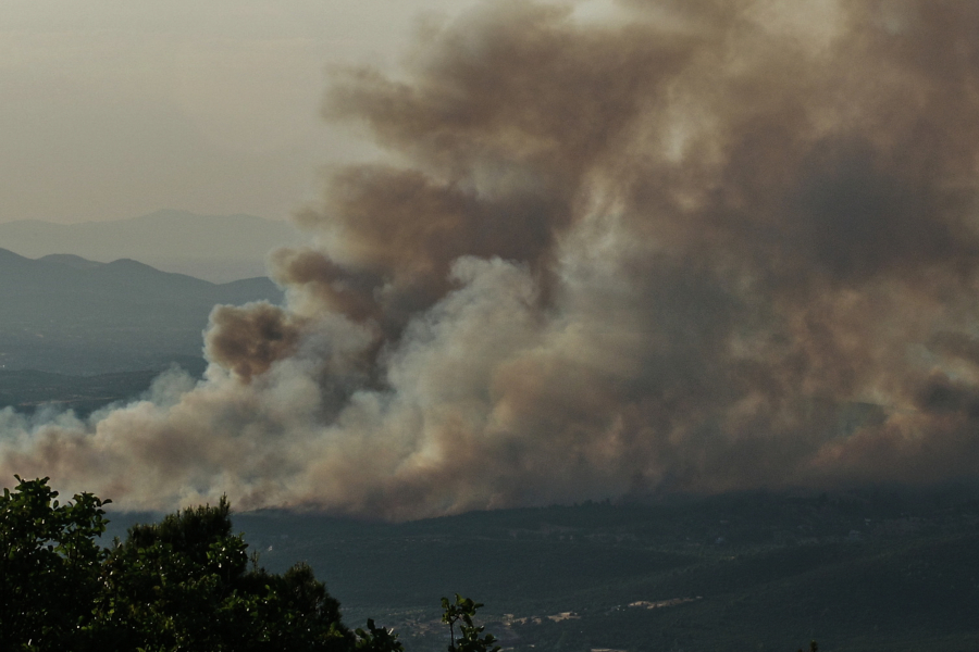 Φωτιά στον Ωρωπό: Σύλληψη 72χρόνου για εμπρησμό από αμέλεια