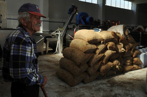 Γλιτώνουν τον «κόφτη» στις συντάξεις 120.000 αγρότες