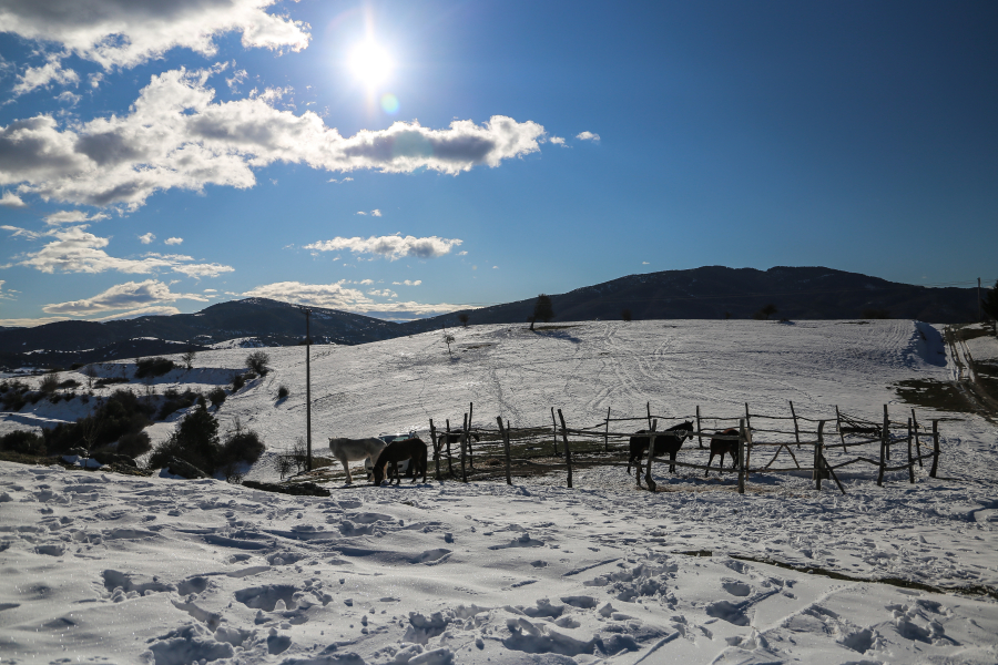 Εντυπωσιακό βίντεο: Πυκνό χιόνι στον Όλυμπο
