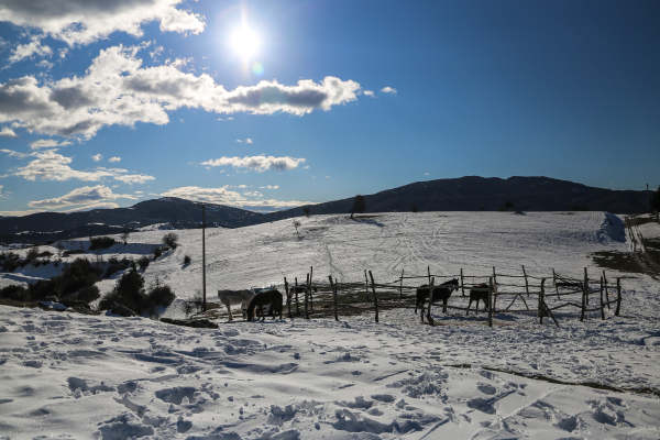 Εντυπωσιακό βίντεο: Πυκνό χιόνι στον Όλυμπο