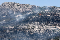 Βελτιωμένη η εικόνα στην Πάρνηθα: Ολονύχτια μάχη με τις αναζωπυρώσεις στη Βοιωτία - Μαίνεται η φωτιά στον Έβρο