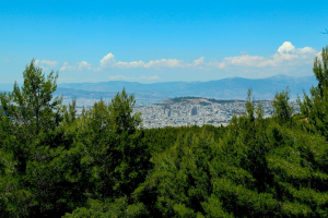 Δασικοί χάρτες: Στην τελική ευθεία οι ενστάσεις σε όλη τη χώρα για το κτηματολόγιο