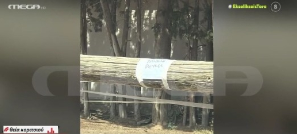 Τατόϊ: «Οι υπεύθυνοι του πάρκου επιτέθηκαν λεκτικά στη μάνα και στο παιδί που έπαθαν ηλεκτροπληξία», λέει η θεία του βρέφους