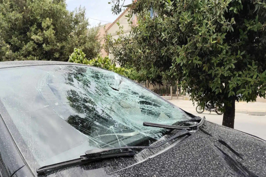 Πρέβεζα: 16χρονος έπεσε σε ΙΧ προσπαθώντας να αποφύγει σκύλο, τραυματίστηκε σοβαρά