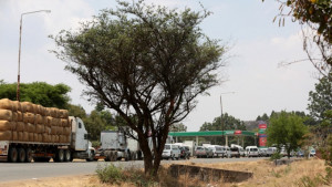 Ζιμπάμπουε: Τουλάχιστον 47 νεκροί από σύγκρουση δύο λεωφορείων