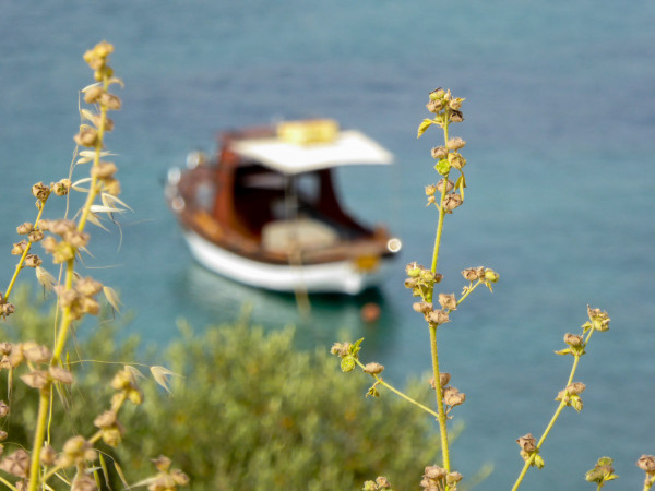 Αγίου Πνεύματος 2020: Καιρός για παραλία! 32αρια θα χτυπήσει ο υδράργυρος, η πρόγνωση του τριημέρου