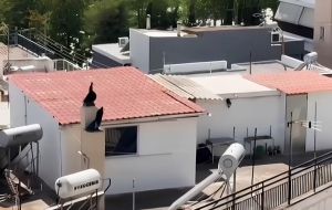 Περιστέρι: Νέες αποκαλύψεις για τις συνθήκες διαβίωσης της οικογένειας - «Με πάνες τα παιδιά 8-9 ετών»