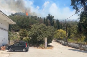 Υπό έλεγχο η φωτιά στη Καβάλα