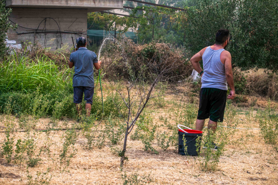 Φωτιά στην Πάτρα: Με κουβάδες και λάστιχα στο χέρι κάτοικοι και εθελοντές