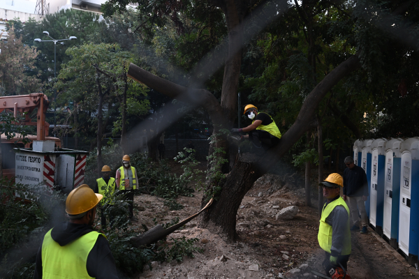 Καταγγελία από τον ΚΟΣΜΟ: Βάσει ποιου σχεδίου κόβονται εκατοντάδες δέντρα στα στρατόπεδα της χώρας;