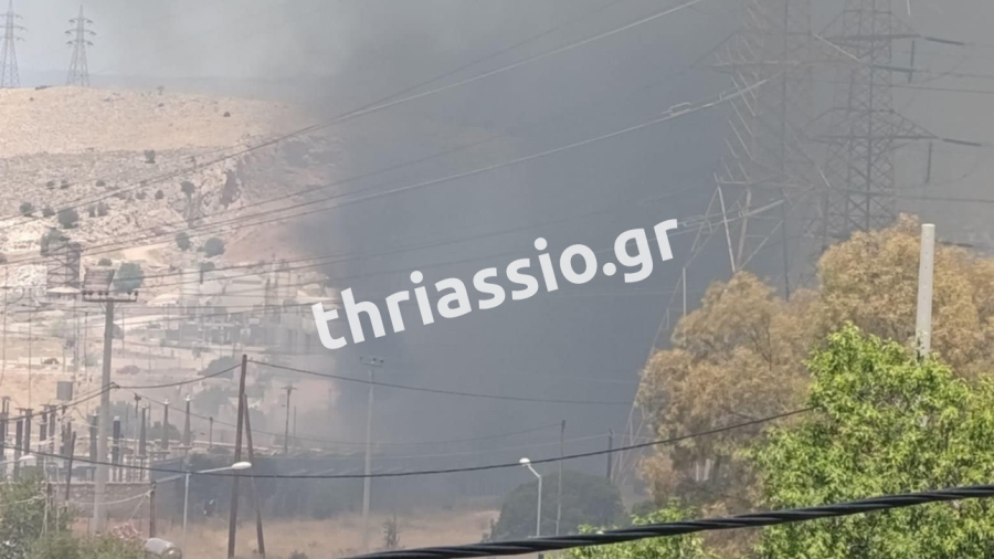 Μεγάλη φωτιά τώρα στα Νεόκτιστα Ασπροπύργου - Διακοπή κυκλοφορίας στη λεωφόρο Διυλιστηρίων (Βίντεο)