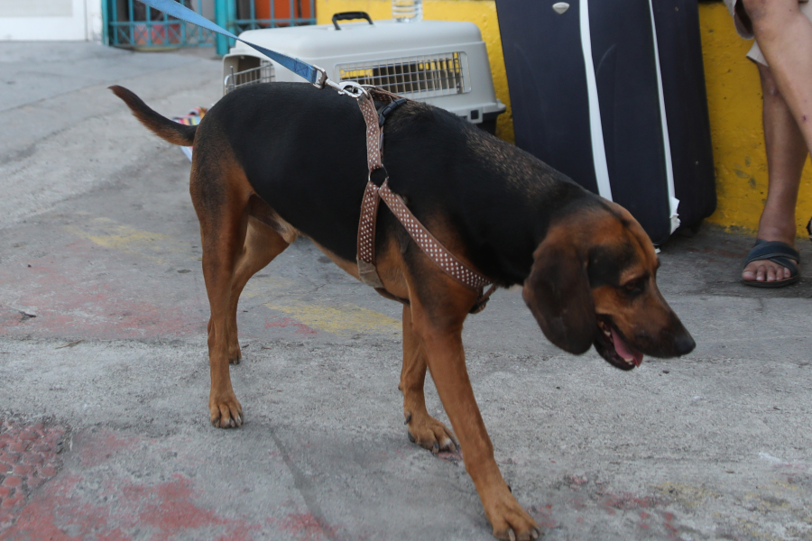 Πηγή: eurokinissi, φωτογραφία αρχείου