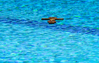 Θεοφάνια ή Θεοφάνεια; Ο Μπαμπινιώτης εξηγεί ποιο είναι το σωστό