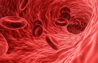 Νέα τεχνητά αιμοφόρα αγγεία μπορούν να σώσουν ζωές