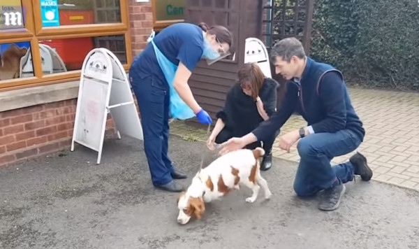 SCREENSHOT/DAILYMAIL