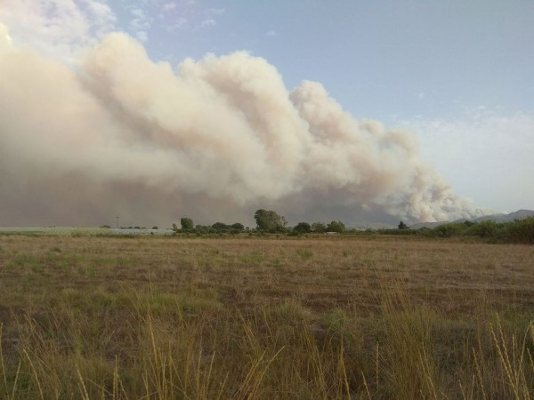 Τρία τα νέα πύρινα μέτωπα στην Αχαΐα - "Συναγερμός" σε Σανταμέρι, Άρλα και Πετροχώρι