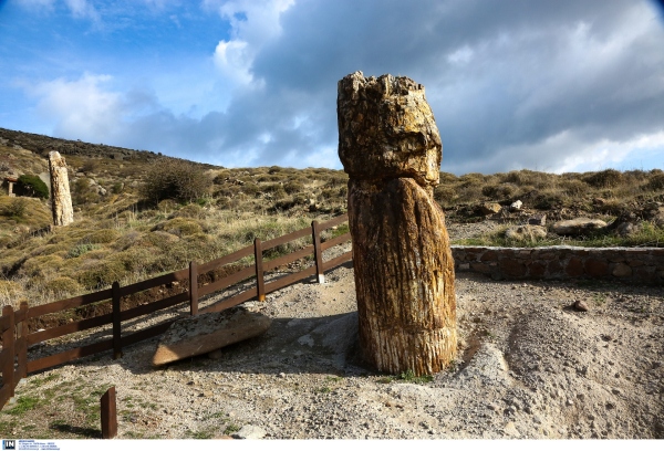 Το απολιθωμένο δάσος Λέσβου μέσα στα 100 Μνημεία Γεωλογικής Κληρονομιάς