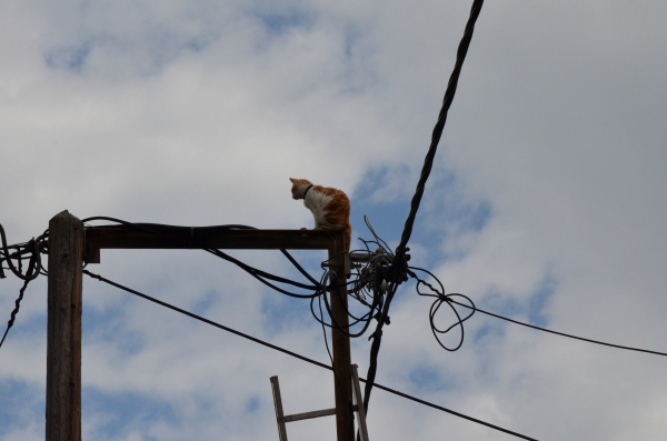 Greece Draws Lessons From Iberian Blackout to Shore Up Critical Infrastructure