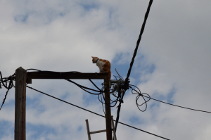Greece Draws Lessons From Iberian Blackout to Shore Up Critical Infrastructure