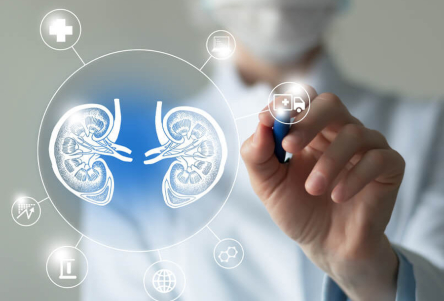 Πώς δημιουργούνται πέτρες στα νεφρά και πώς αντιμετωπίζονται;