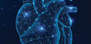 Καρδιακές βαλβίδες και σύγχρονες διακαθετηριακές τεχνικές