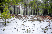 Πού χιονίζει τώρα - Ο χάρτης με εθνική οδό και επαρχιακό δίκτυο