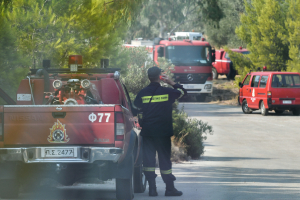 Φωτιά στη Χαλκιδική - Επιχειρούν επίγειες και εναέριες δυνάμεις