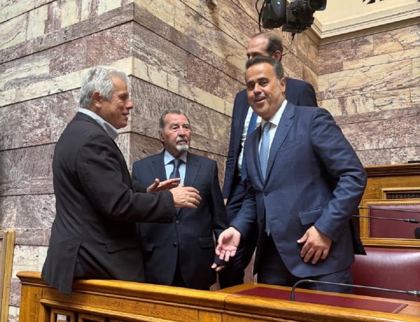 Μασάζ Παπασταύρου για τα οικόπεδα: «Γαλάζια» γκρίνια και μουρμούρα - Αντάρτικο Αυγενάκη