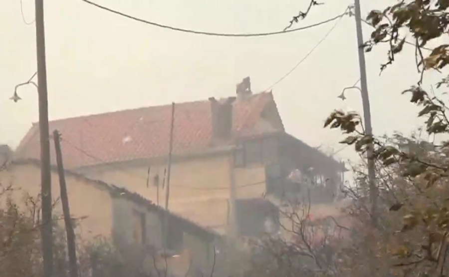 Φωτιά στη Χασιά: Άνθρωπος ανεβαίνει στα κεραμίδια με μάνικα για να σώσει το σπίτι του -Συγκλονιστικό βίντεο
