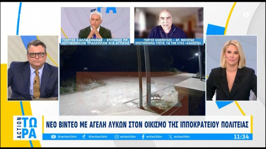 Εμφανίστηκαν λύκοι στην Ιπποκράτειο Πολιτεία