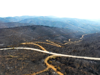 Σε ΦΕΚ η πληρωμή των μη ασφαλισμένων στον ΕΛΓΑ για πυρκαγιές και Daniel