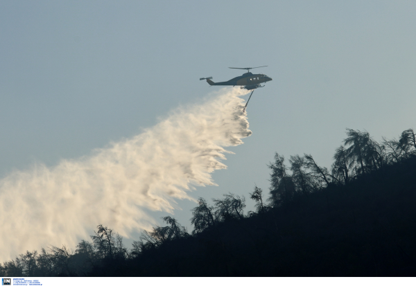 Φωτιά τώρα στην Εύβοια